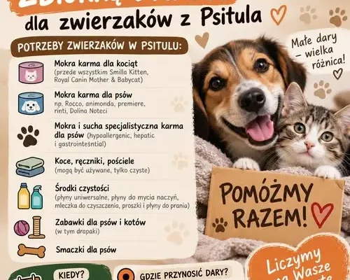 Zabrze: Szkoła Podstawowa nr 21 zbiera dary dla zwierząt ze schroniska Psitulmnie