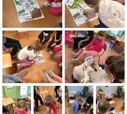 Dzień Drzewa w Szkole Podstawowej nr 22 w Zabrzu – tydzień pełen odkryć